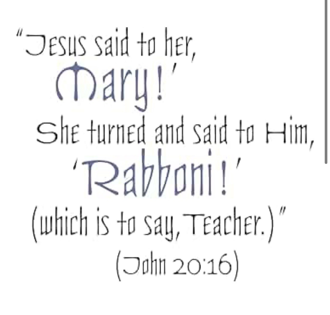 Vinyl Wall Decal Jesus Said To Her John 20:16 Christian Wall Art 26×29