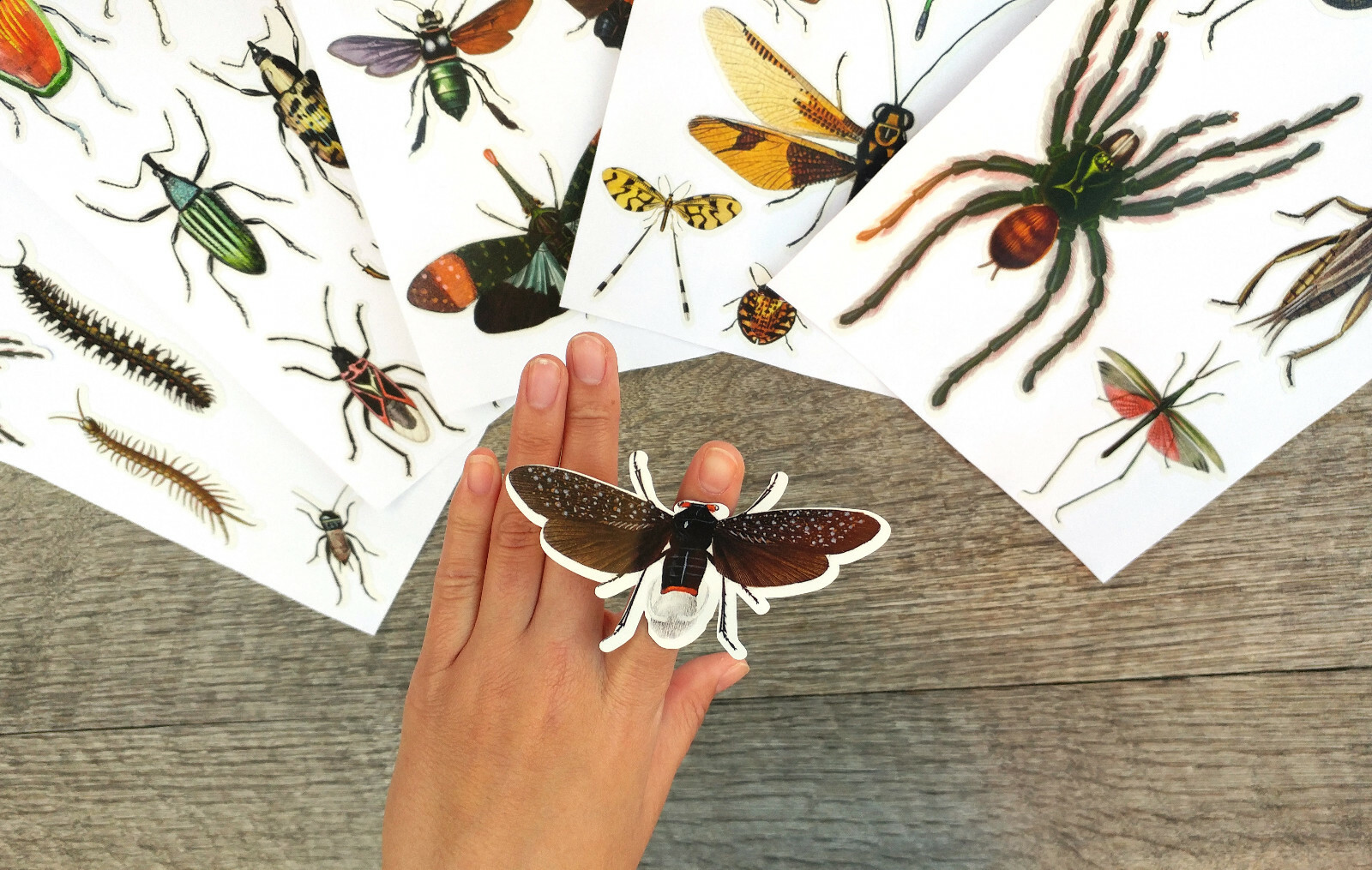 Vinyl Wall Stickers/VINTAGE INSECTS AND BUGS/Waterproof, Outdoor, Wall-Safe