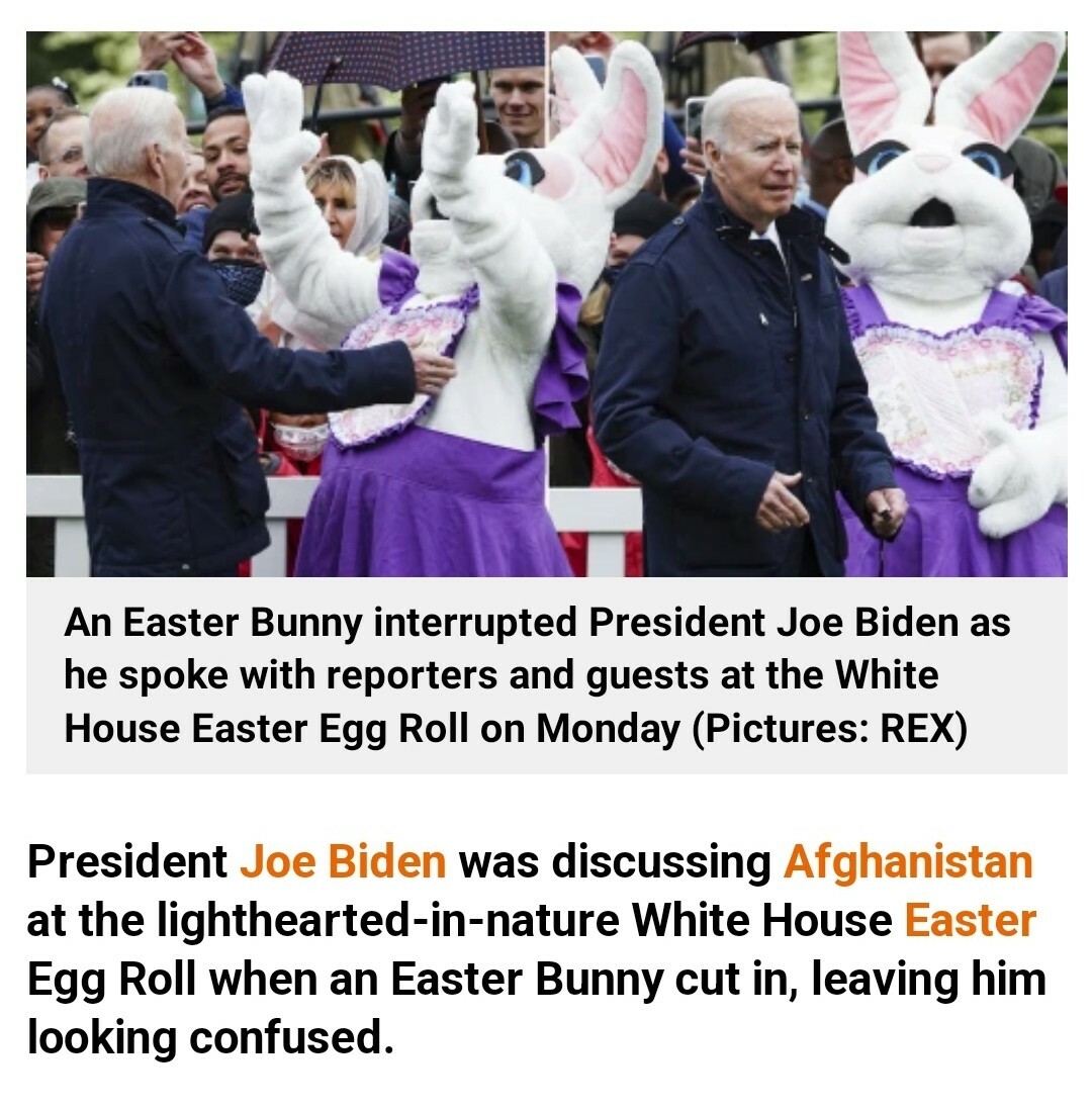 Joe Biden Easter Bunny Secret Service STICKERS 3 PACK *WORLDWIDE 🌐 SHIPPING*