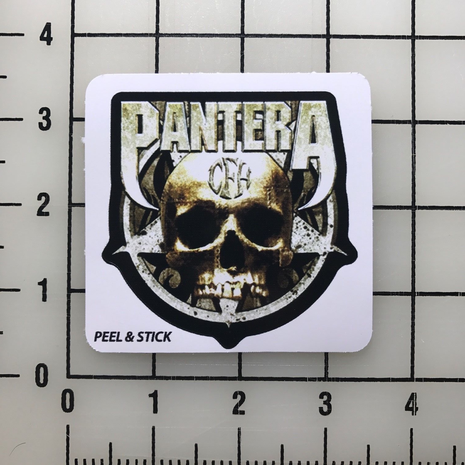 Pantera Skull 3" Wide Vinyl Decal Sticker BOGO