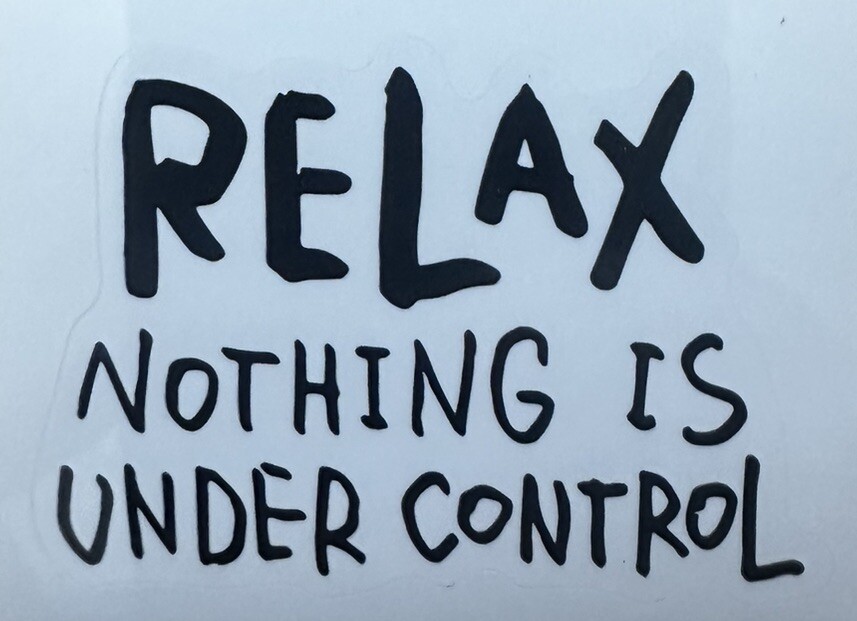 RELAX, NOTHING IS UNDER CONTROL ~ Small Vinyl Sticker – (2in x 1.5in)