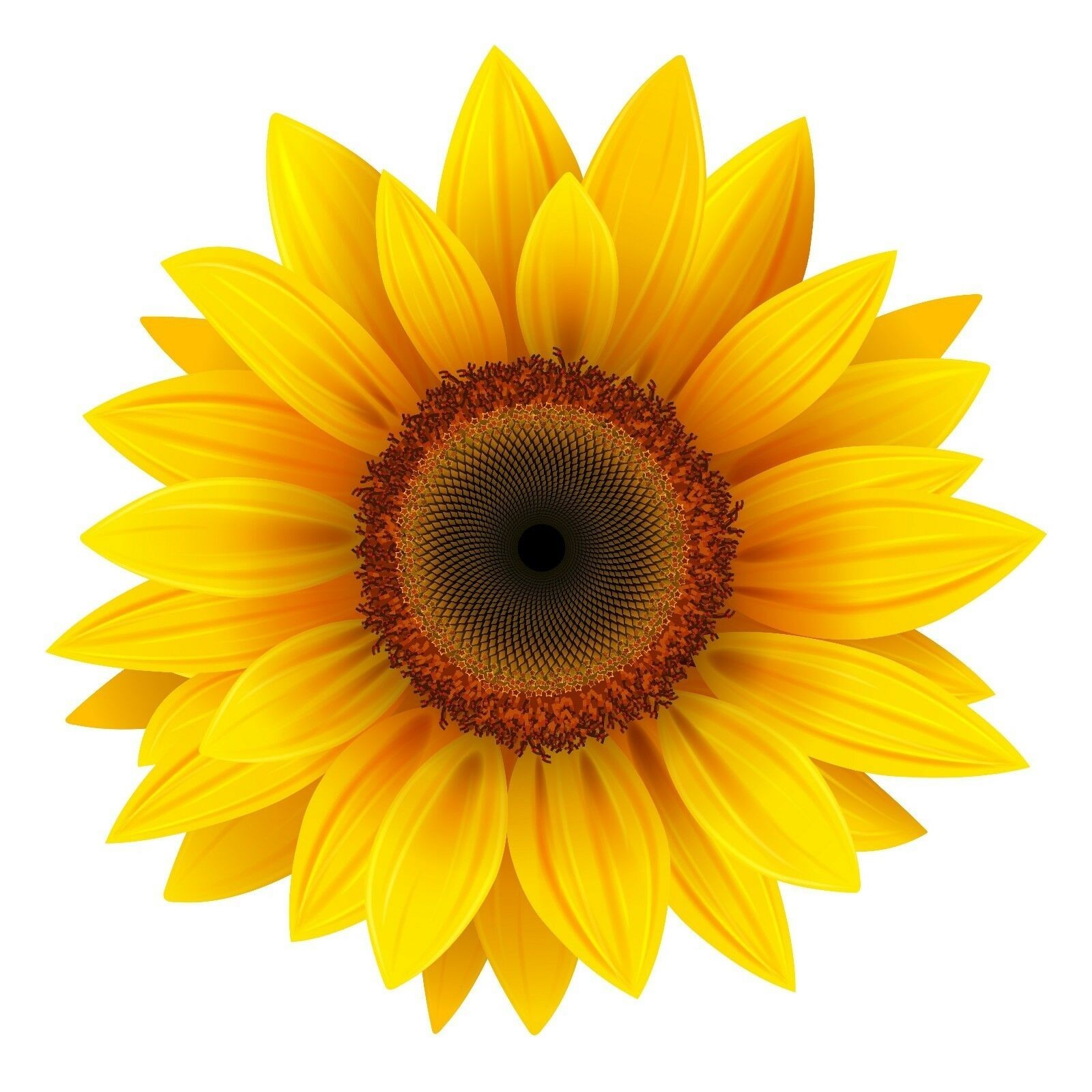 Yellow Sunflower Vinyl Decal Sticker Car Window Laptop Tumbler 2 3 4 5 Inch