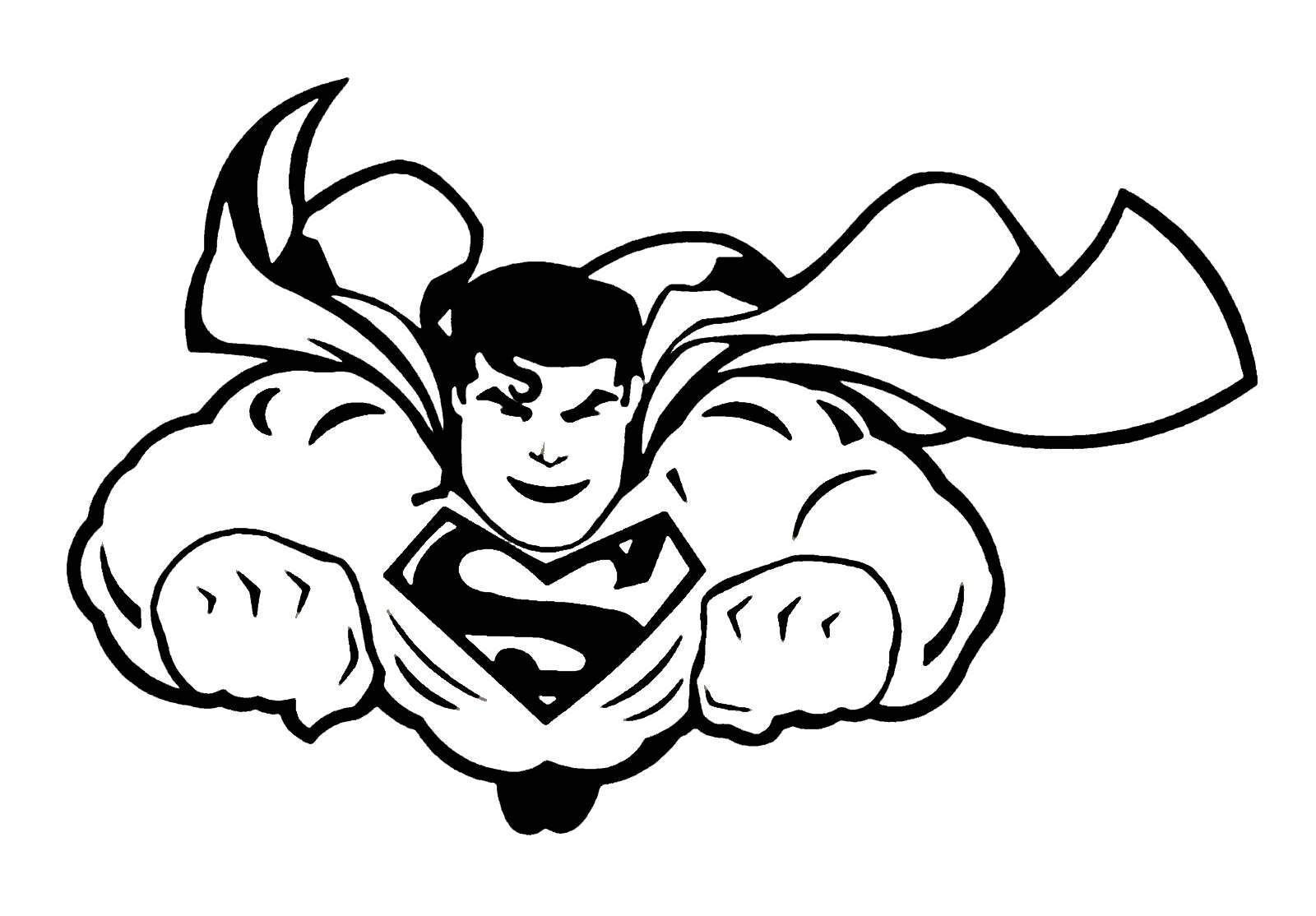 Vinyl Decal Car Truck Sticker Wall DC Justice League – Superman Animated