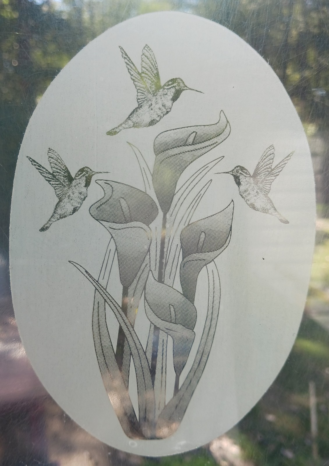 LILY Window Decal 26"x40" OVAL Etched Glass Look Cling Removable & Reusable 41