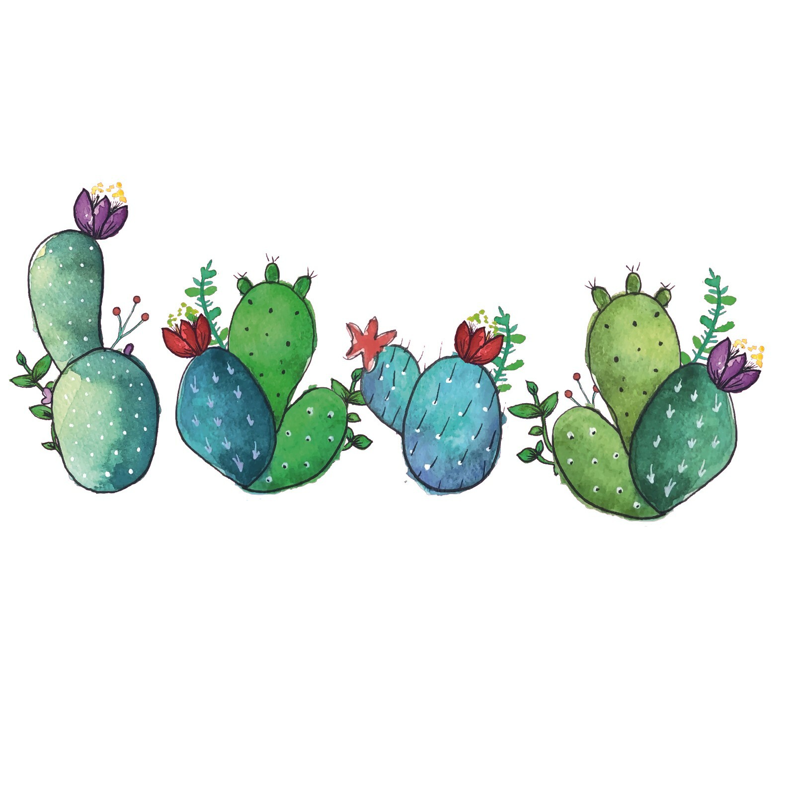 Vinyl Cactuses Decal Home Art Multicolored Succulents Wall Decal Stickers 9×20