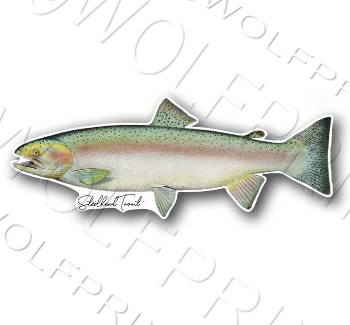 Northern Pike Fish Sticker 6" or 11" Wide Walleye Bass Boat Car Window Decal