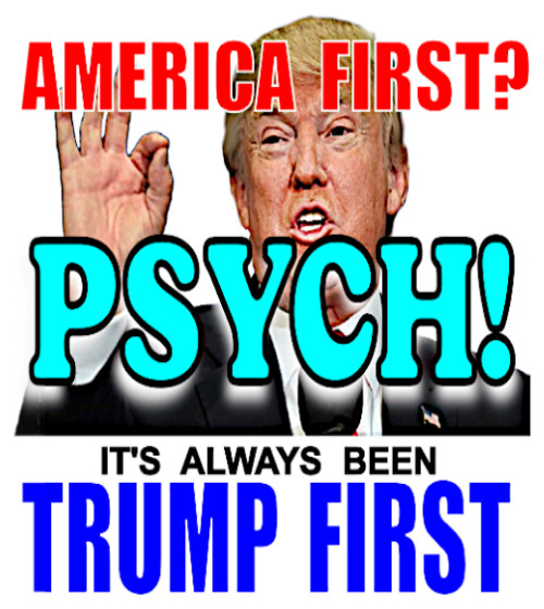 6pc Kiss Cut Anti Trump Sticker Set, Durable, Waterproof, 1.5"W x 1.5"H