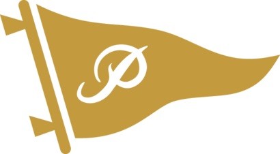 Primitive Pendleton Logo Sticker Gold 2pack