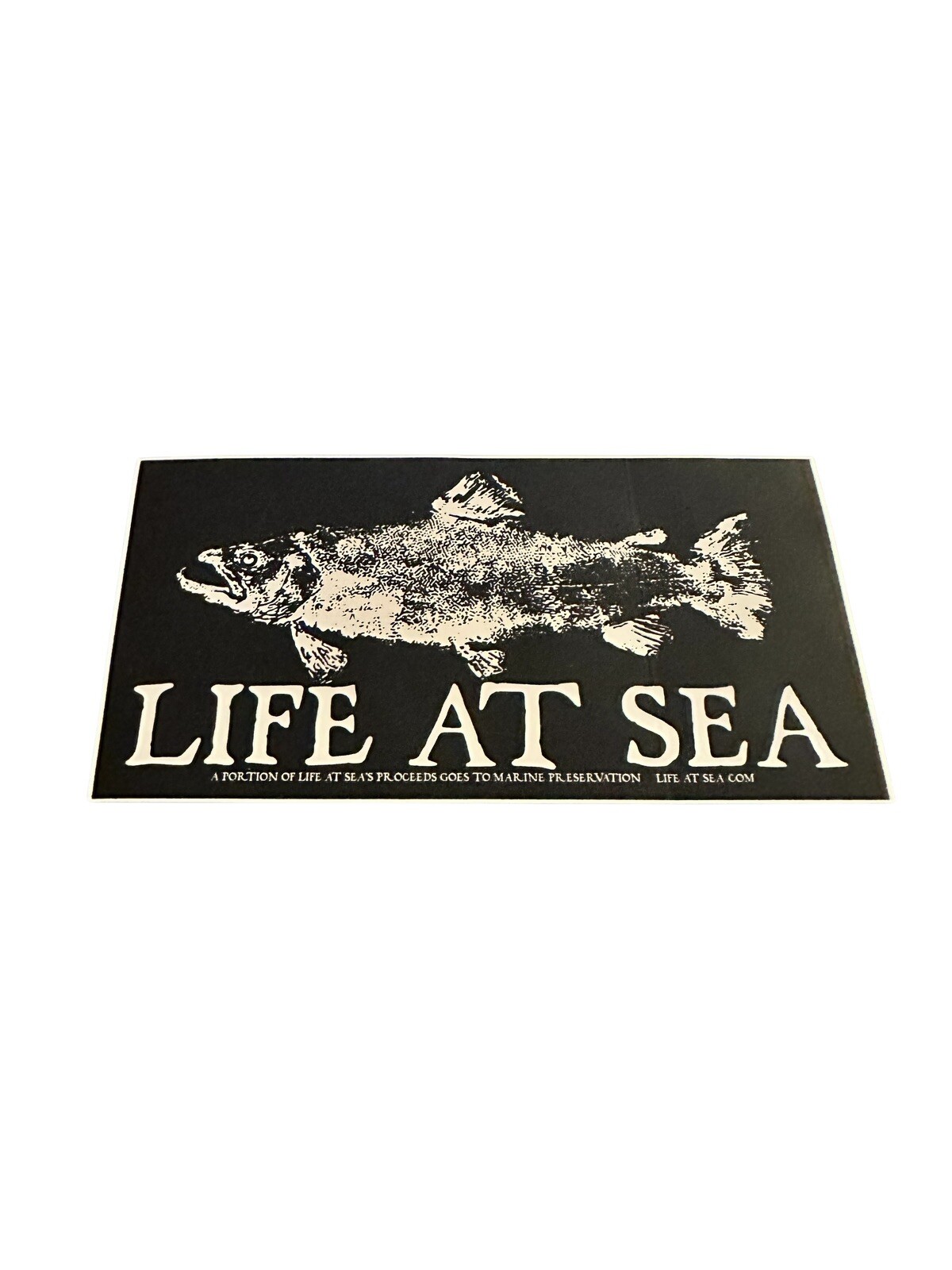 Life At Sea Salmon Skeleton Fish Print Decal Earth Charity 2015 Original 6.5×3.2