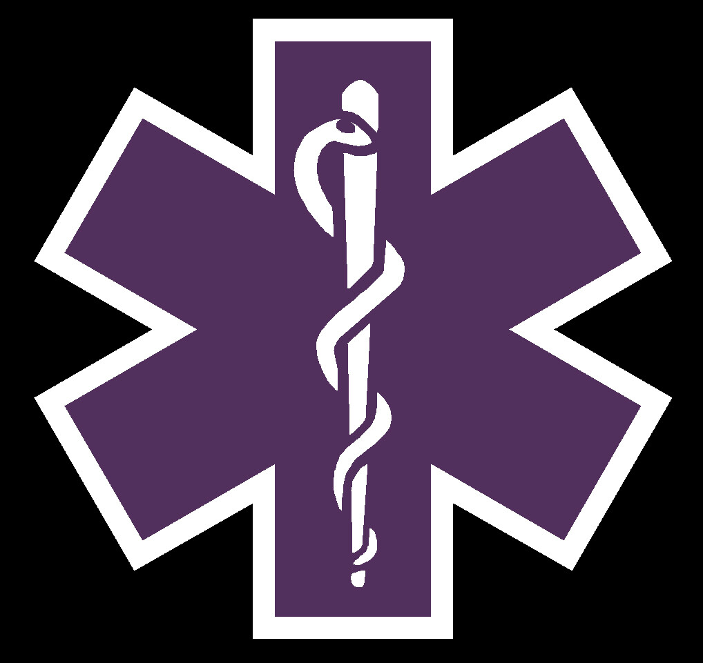 Purple Reflective Vinyl Star Of Life Car or Fire Helmet Decal EMT multiple sizes