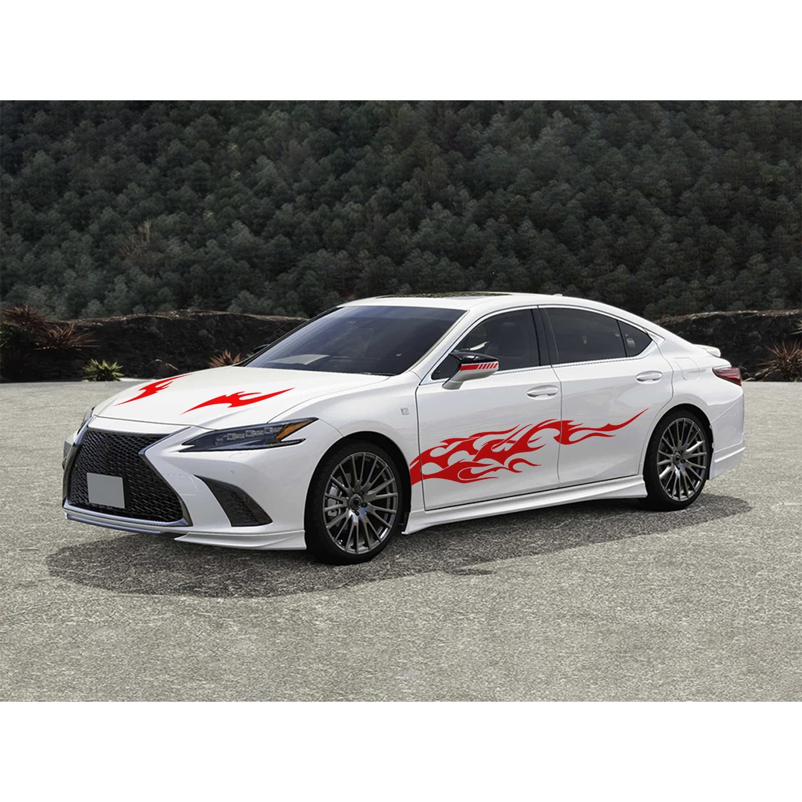 Bilisin 6 Pieces Flame Graphics Car Body Side Sticker Vinyl Auto Racing Sports L