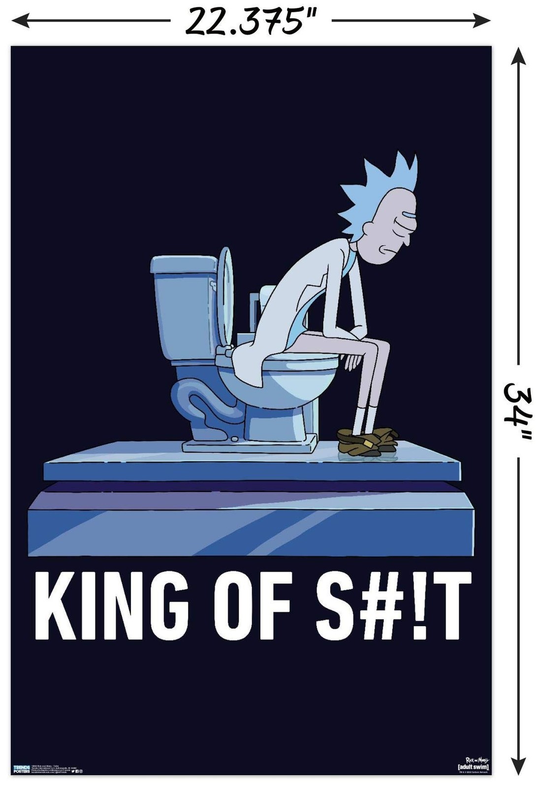 Trends International Rick And Morty – Toilet Wall Poster, 22.375" x 34", Post…