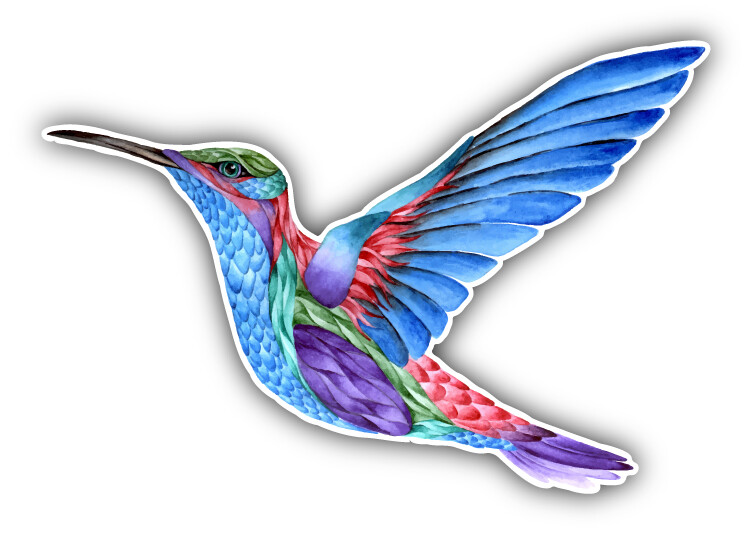 Hummingbird Watercolor Car Bumper Sticker Decal