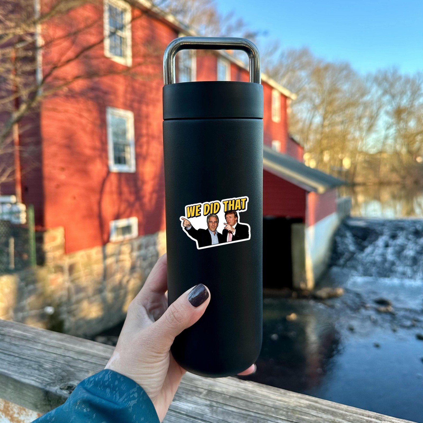 100 PCS We Did That Sticker Pack, Trump Epstein I Did That Anti-Trump Sticker,Tr