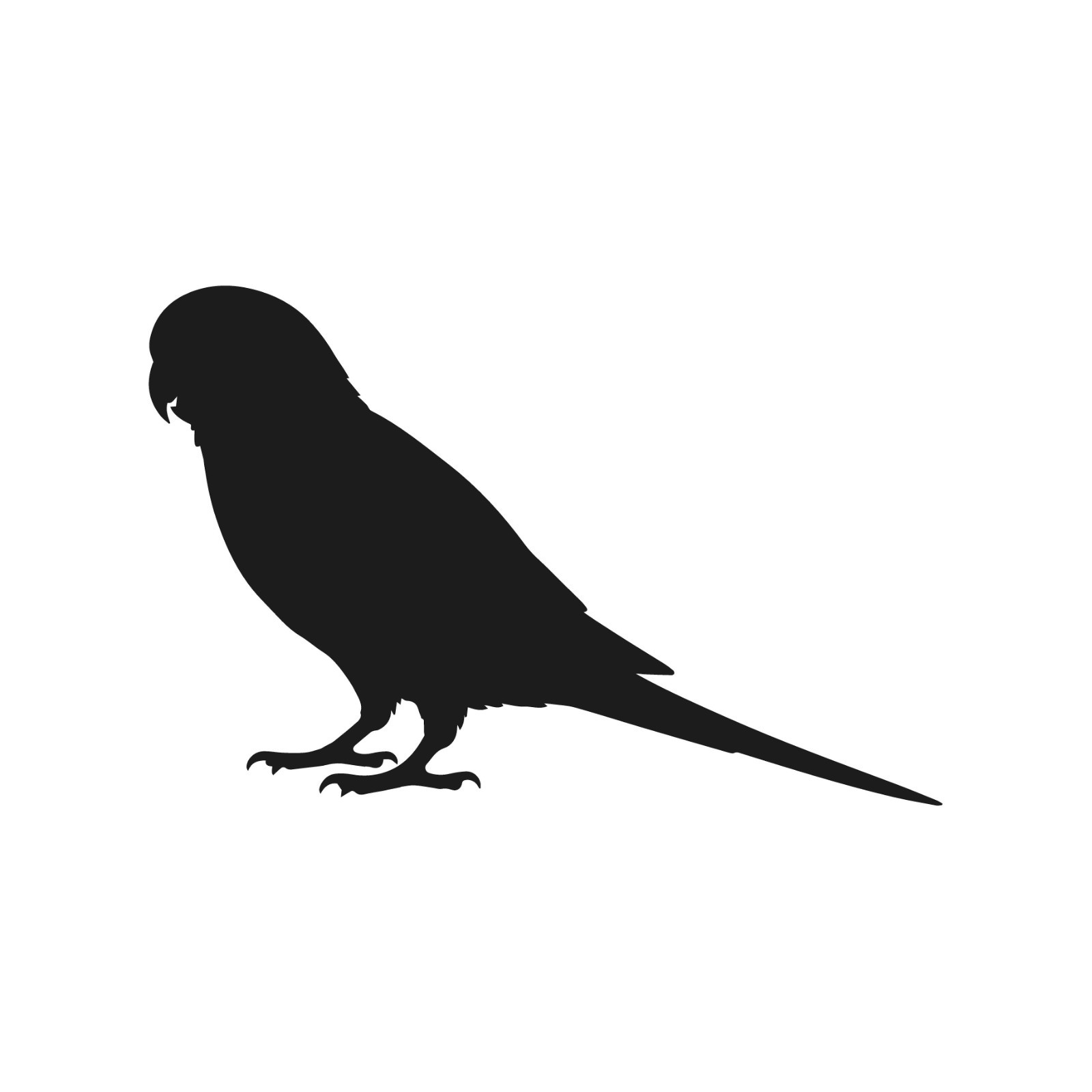 Parakeet Standing Wildlife Bird Vinyl Decal Window Silhouette Wild birds sticker