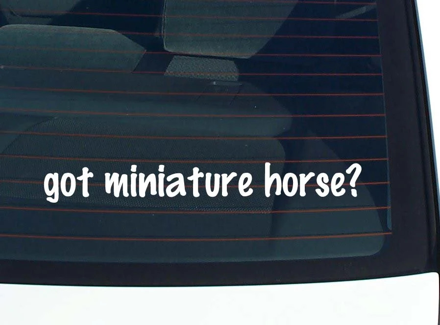 got miniature horse? CAR DECAL BUMPER STICKER VINYL FUNNY JOKE WINDOW