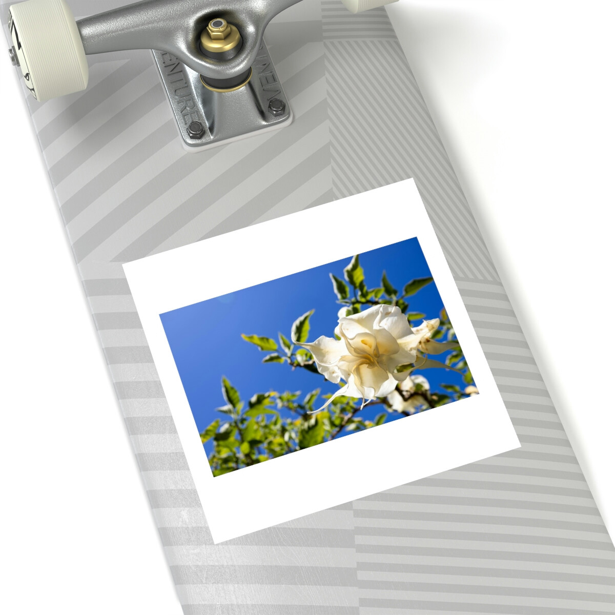 Blush Flower with Blue Sky Square Stickers, Indoor Outdoor