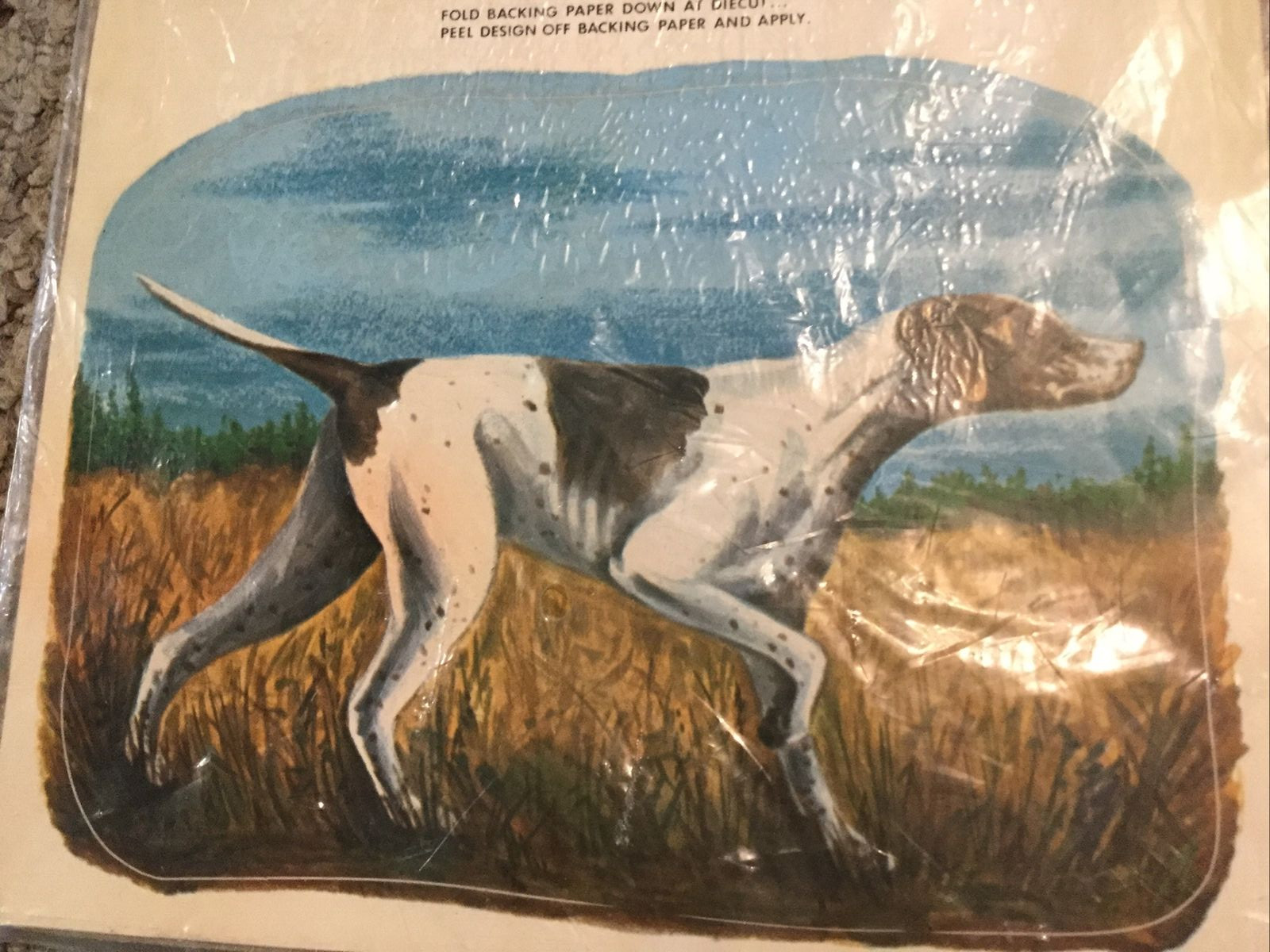 Vtg Sport Stik Meyercord Vinyl Weatherproof Decoration 11-H Pointer Hunting Dog