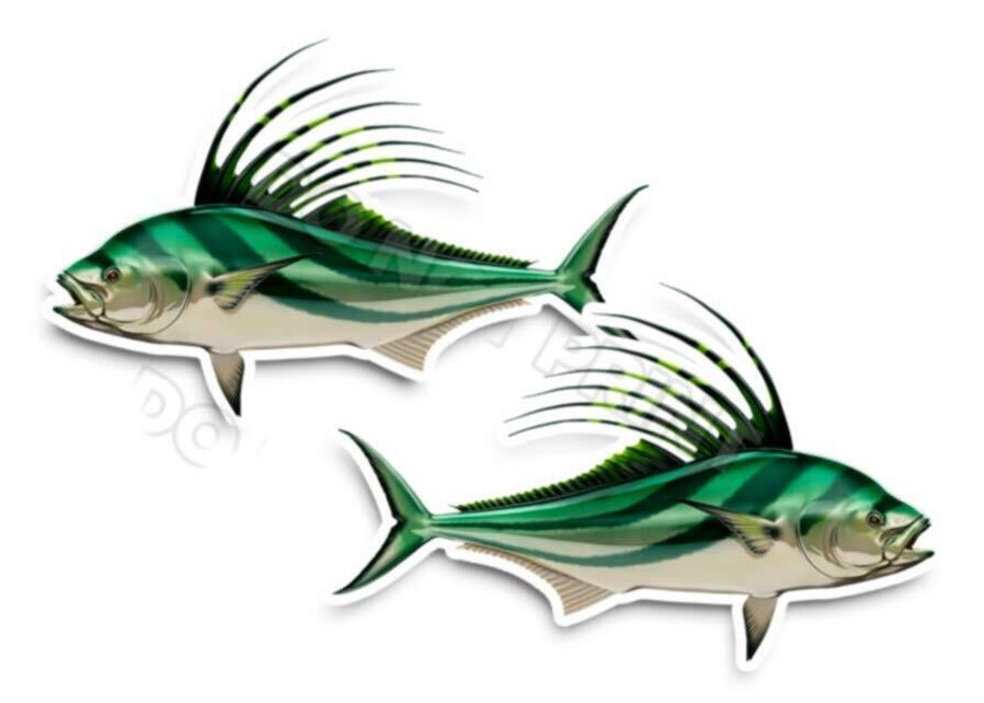 Roosterfis Decals Fish Stickers Vinyl Tackle Box Giant Sea Perch – Set of 2 #205
