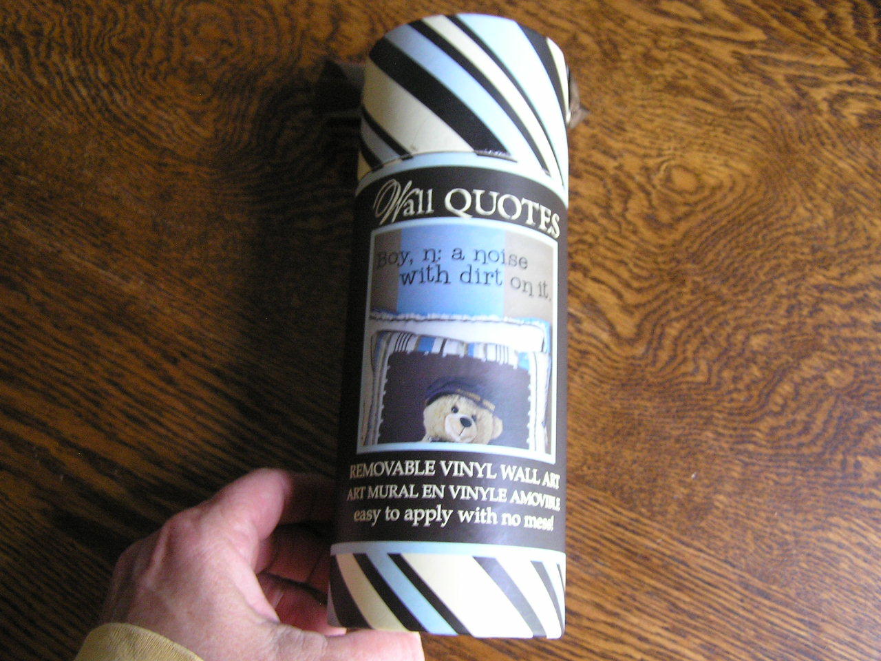 DCWV Home Removable Vinyl Wall Art "BOY, N: A NOISE WITH DIRT ON IT." Black~NIP!