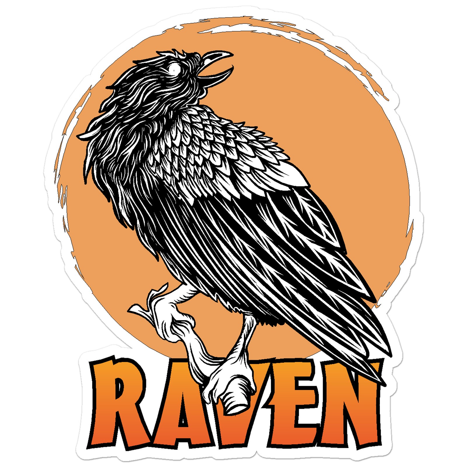 Raven Crow Magpie – Vinyl Decal Sticker – Car Window Laptop – ebn8988