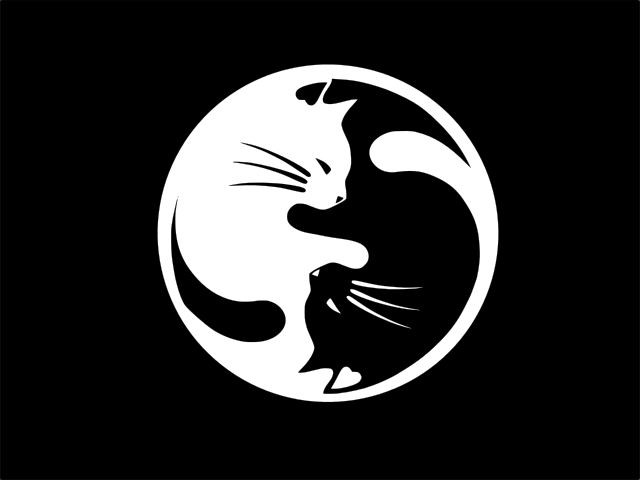 YIN YANG CATS Cat Lover Vinyl Decal Car Wall Laptop Sticker CHOOSE SIZE COLOR