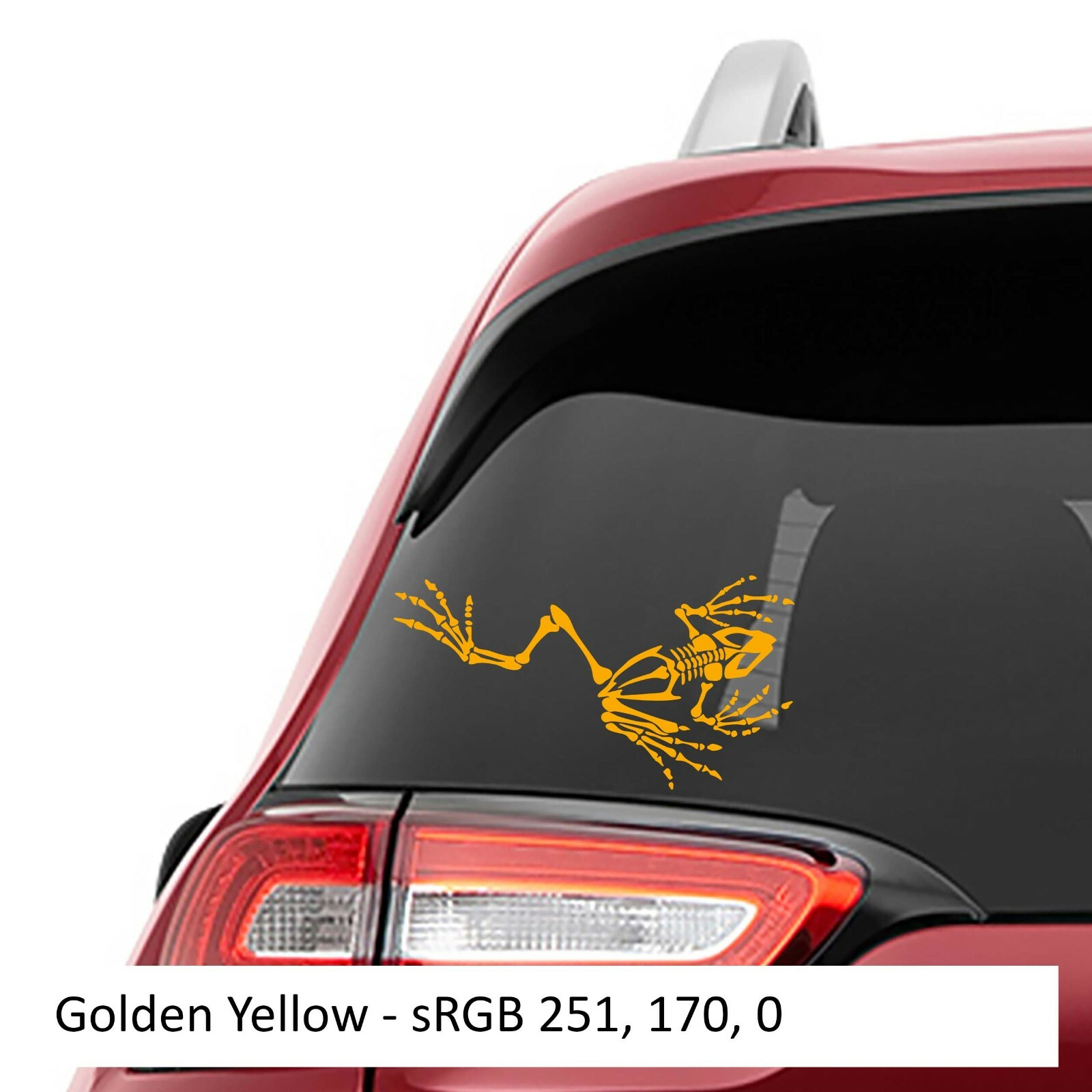Bone Frog Skeleton Vinyl Decal