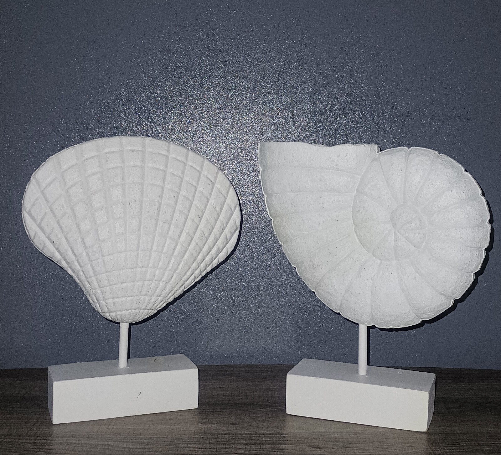 2pcs Large Nautilus Shell Sculptures Coastal Beach Home Decor SeaShell 10"X8"X2"