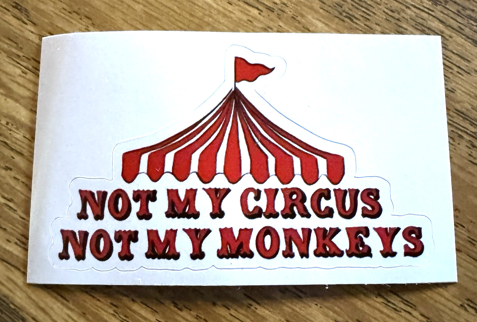 3" x 2" Not My Circus Not My Monkeys Vinyl Sticker Funny Office Quote Decal