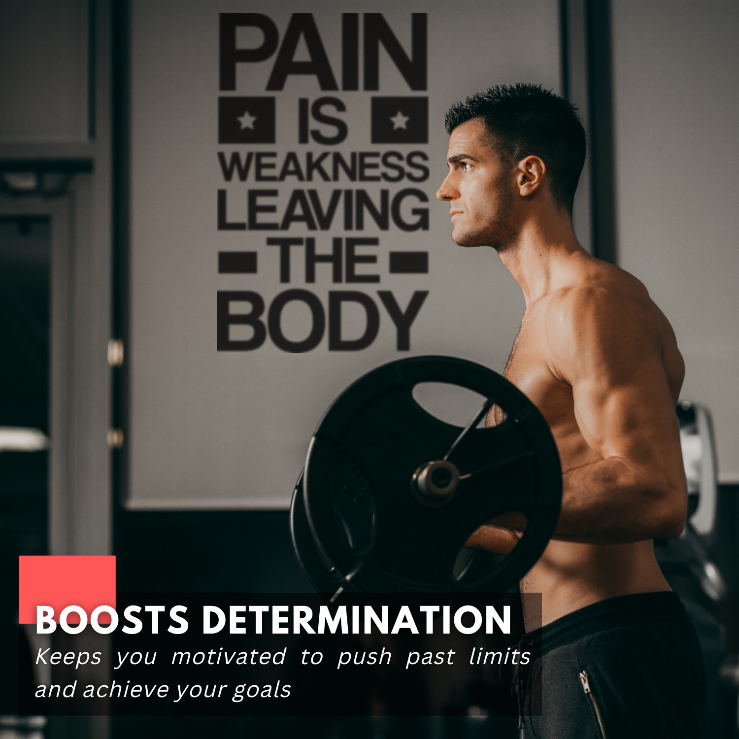 Motivational Wall Decal Quote – Pain Is Weakness Leaving the Body – Gym & Fitnes