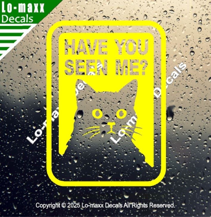 Have You Seen Me Lost Cat Sticker Art Funny Vinyl Decal For Laptop Door Locker