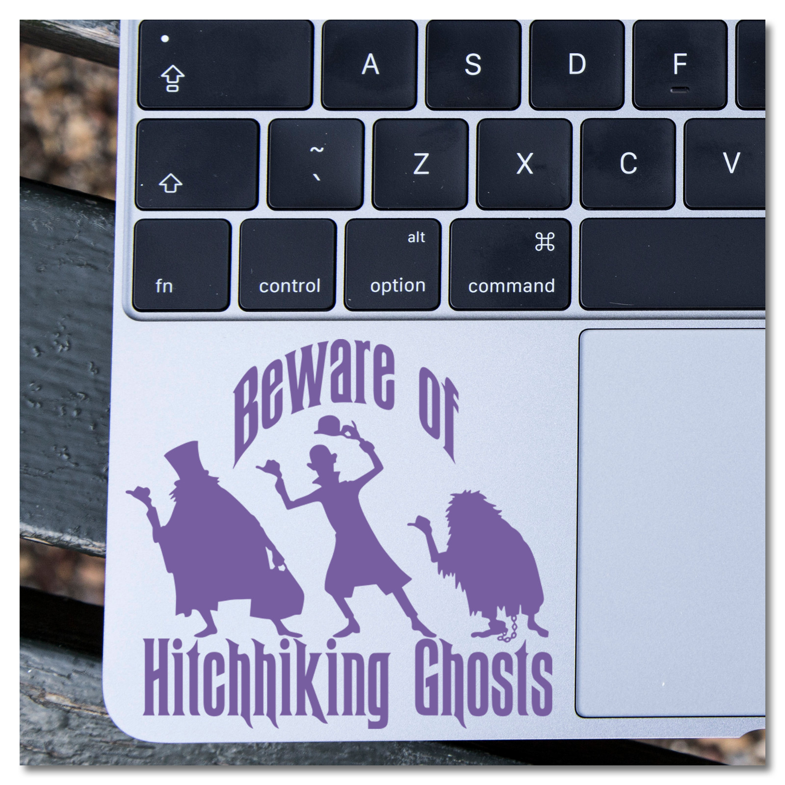 6" Haunted Mansion Beware of Hitchhiking Ghosts Disney Vinyl Decal Sticker