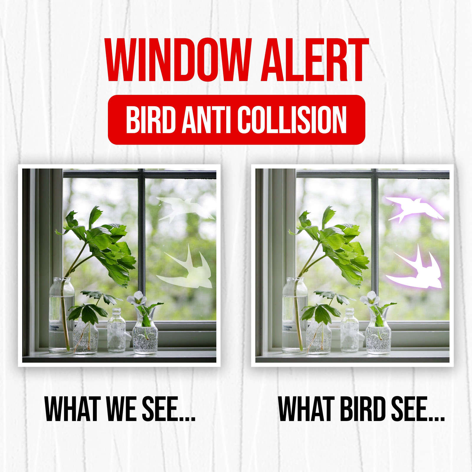 24x Window Decal For Bird Strike Glass Anti Collision Cling Sticker – Deterrent