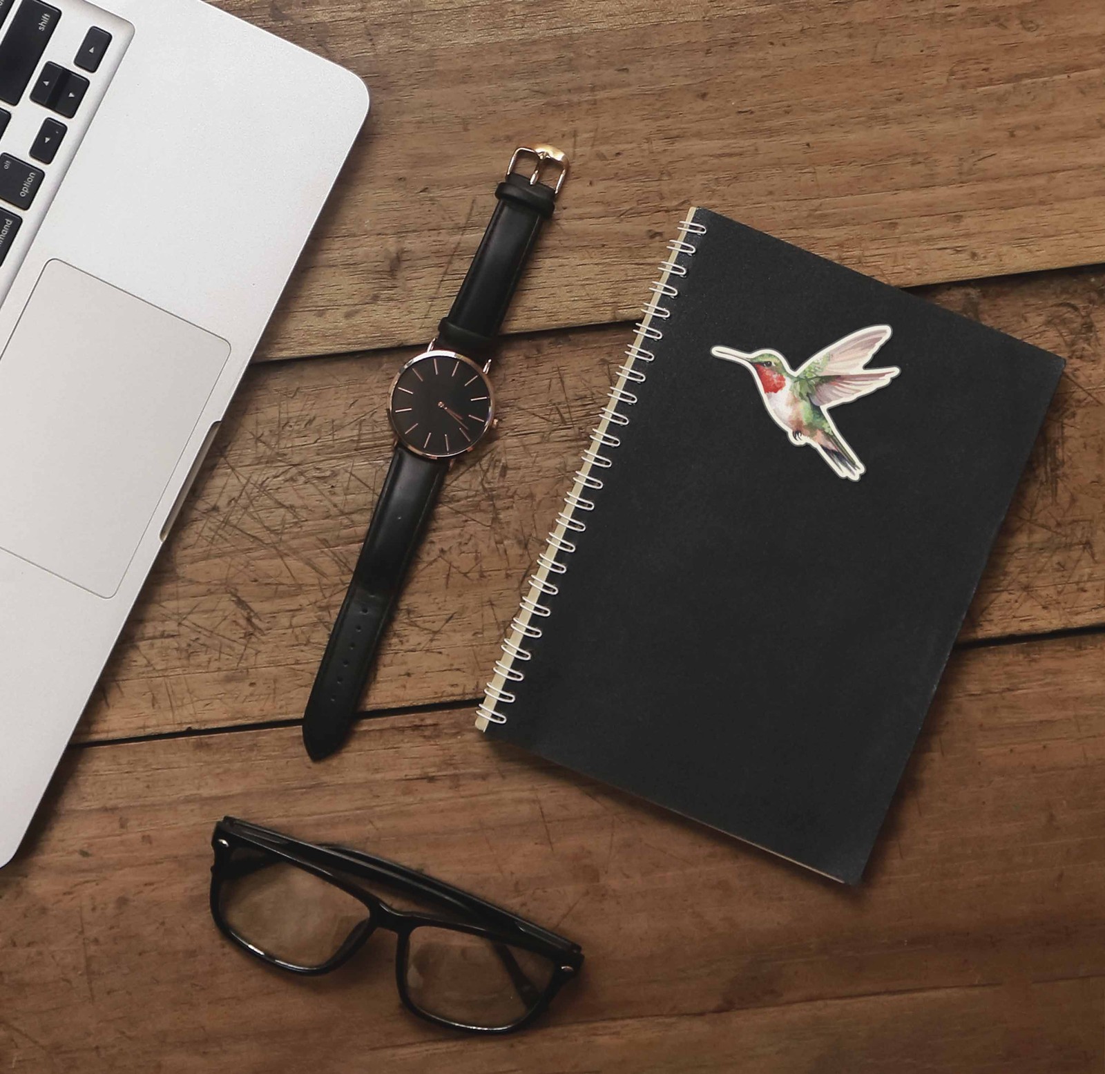 Hummingbird Sticker – Mini Birdwatching Decal