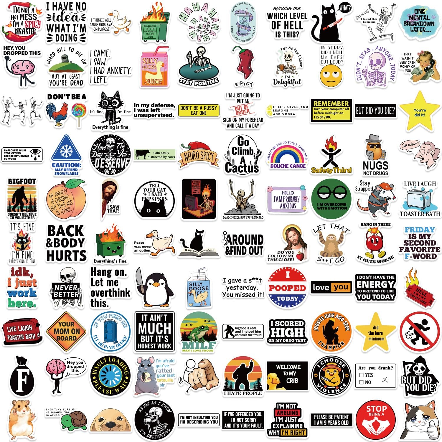 Funny Stickers for Adults 100 PCS Meme Dirty Hilarious Prank Stickers for Sale