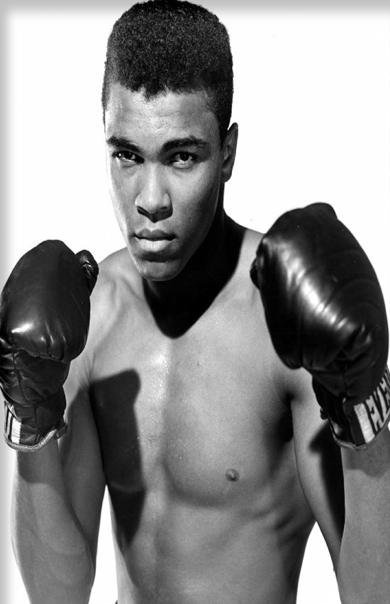 Muhammad Ali BOXING Fighting Wall Vinyl Decal Poster Print (Removable Adhesive)