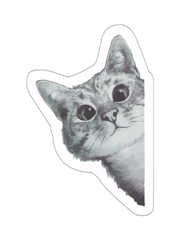 Cat Peeking Sticker