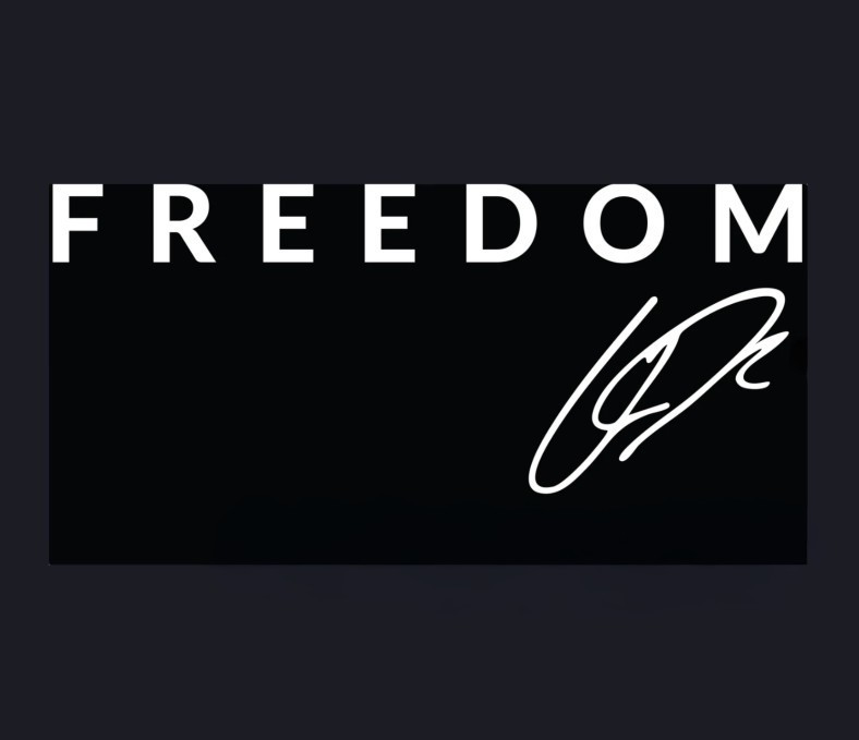 FREEDOM CHARLIE KIRK Vinyl Die Cut Car Decal Sticker – FREE SHIP!!
