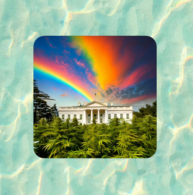 Marijuana plants at the White House 100% waterproof vinyl sticker – many sizes