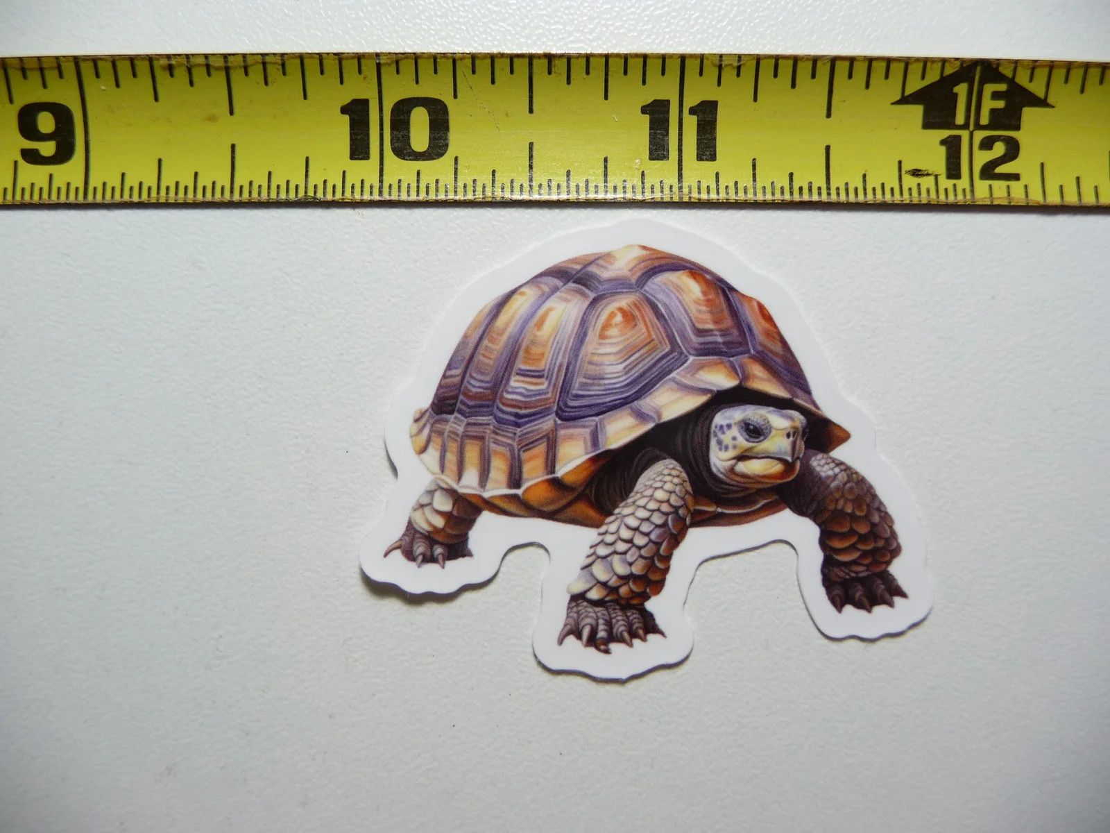 TORTOISE TURTLE SMALL STICKER DECAL WILDLIFE PRESERVE NATURE ANIMAL