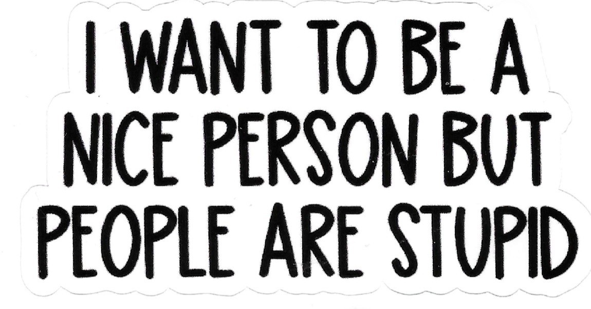 I Want To Be A Nice Person But People Are Stupid Vinyl Decal