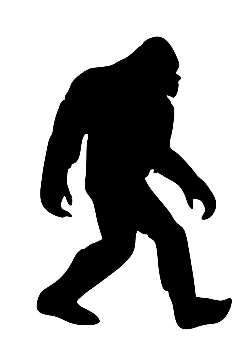 Bigfoot Sasquatch Vinyl Die Cut Car Decal Sticker 4×6 Inches!