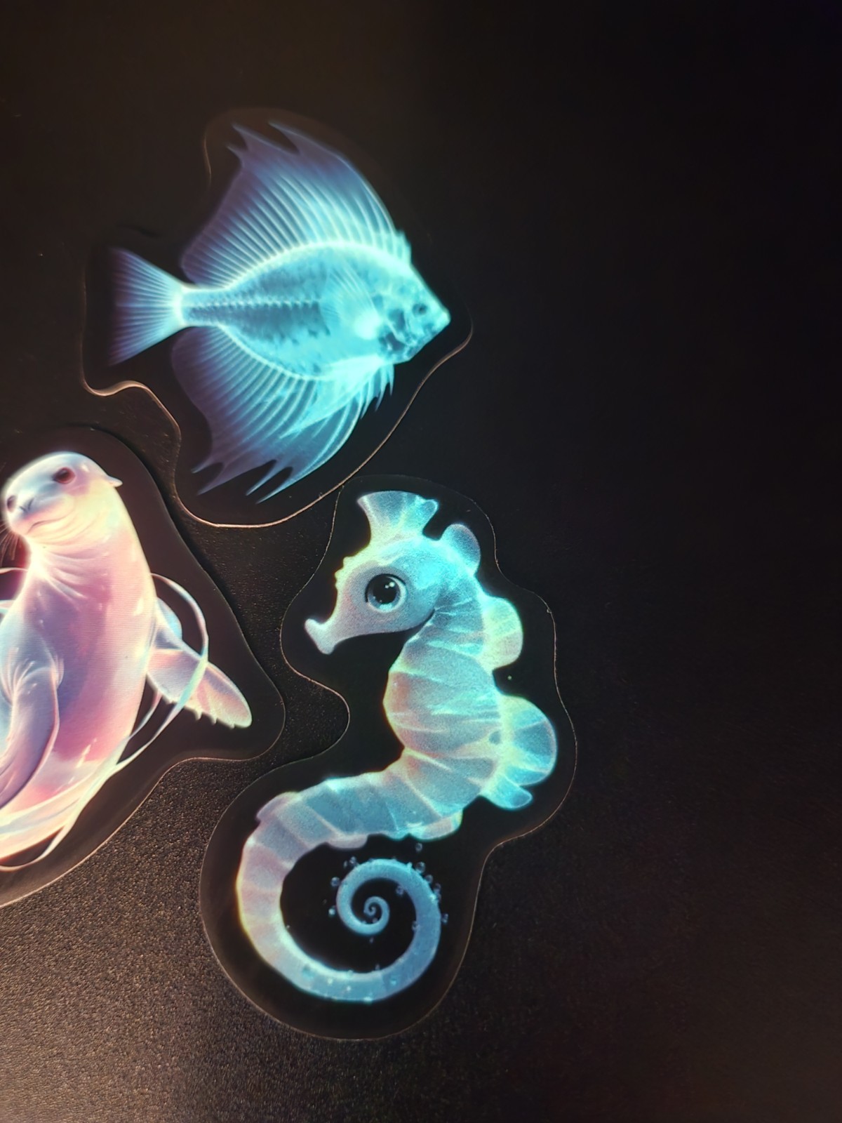 Ocean Themed Glow In The Dark Stickers! Vinyl Waterproof – Horsea & Seal, Fish