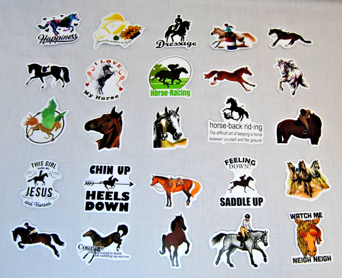 Horse Stickers for Laptop, Water Bottles Plus for Kids to Adults 200Pcs T2694