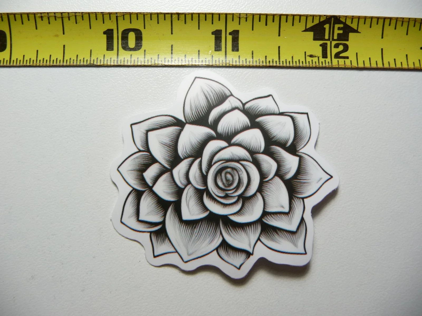 CACTUS SUCCULENT PLANT SMALL STICKER DECAL NATURE OUTDOORS FUN CALMING