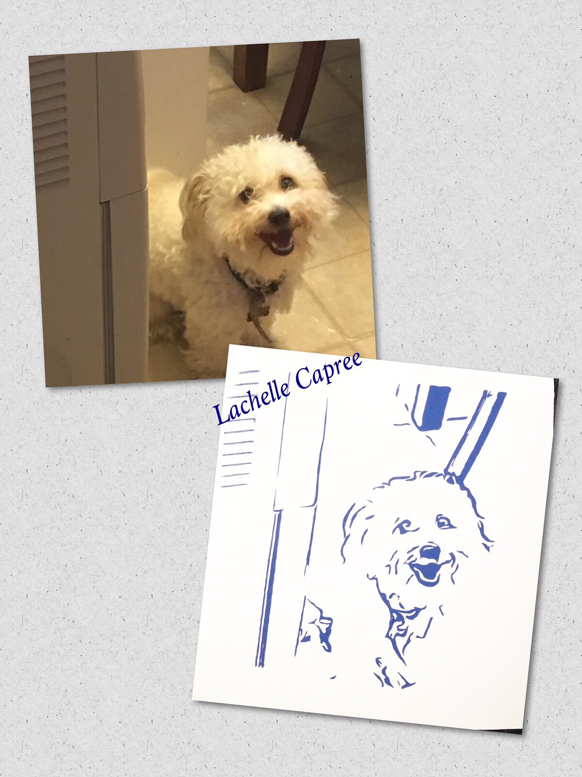 Personalized Pet Pics Pet Photo Custom Decal Sticker Birthday Gift Keepsake Sale