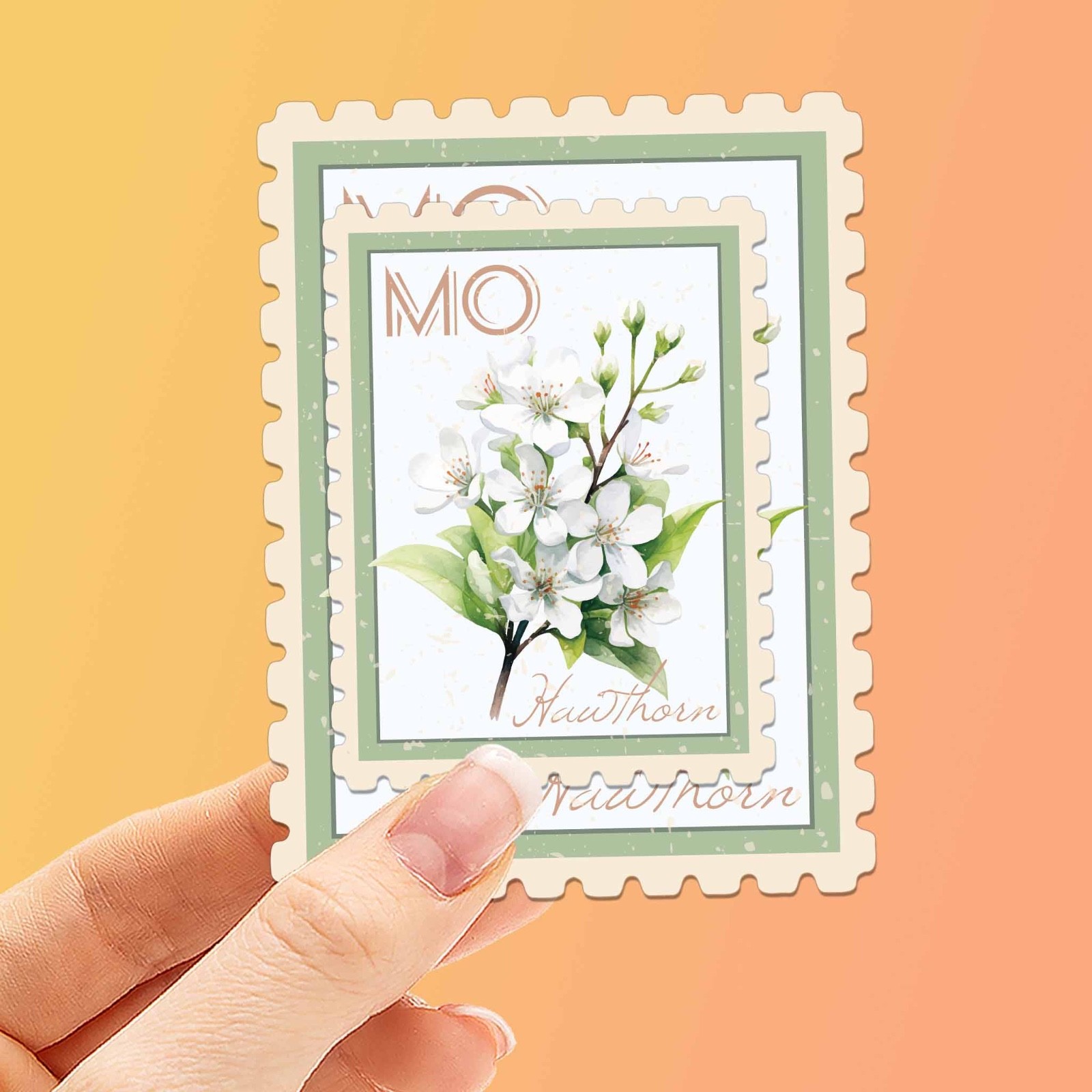 Missouri State Flower Hawthorn Sticker – MO Vintage Stamp Decal for Laptop