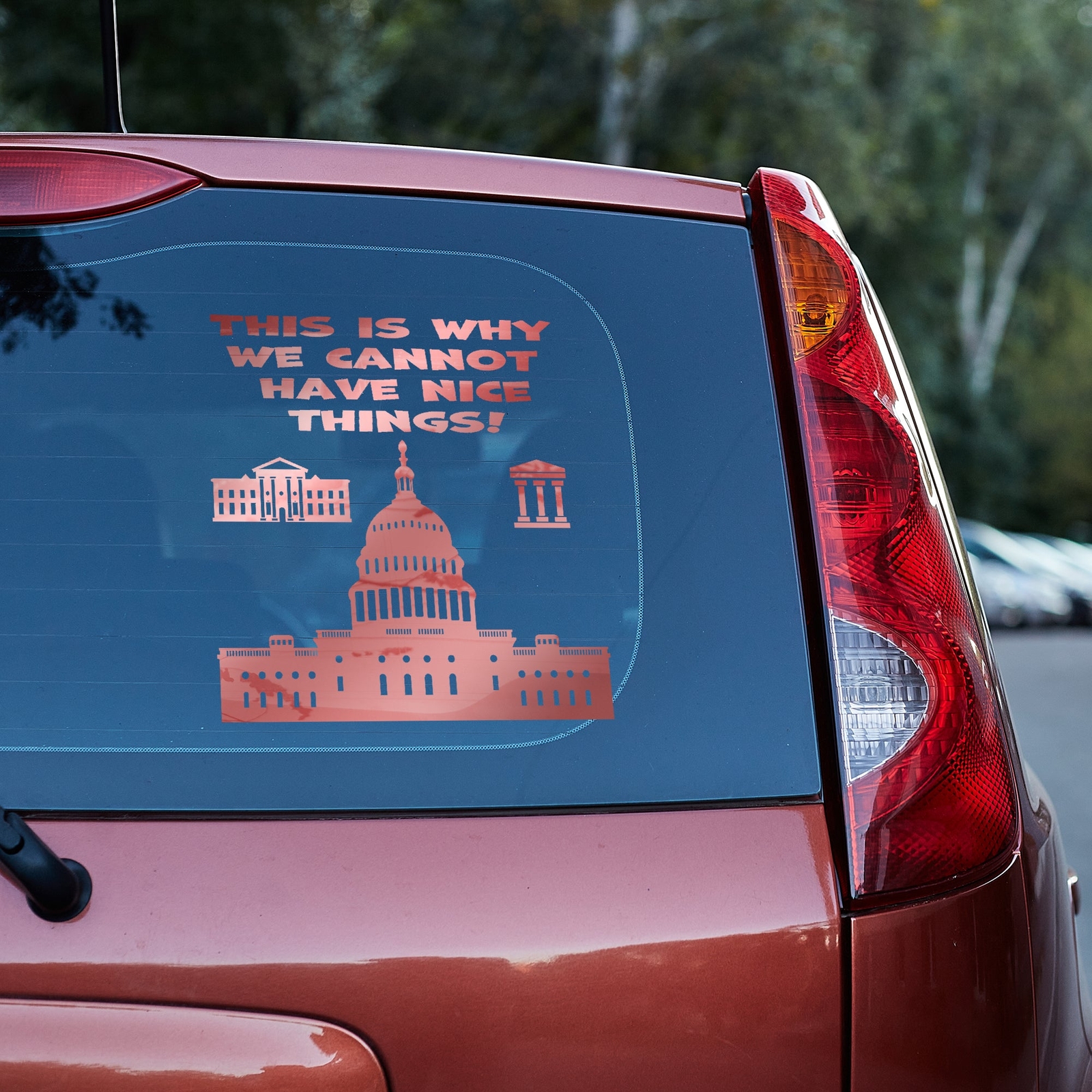 This is why we cannot have nice things Vinyl decal anti government funny