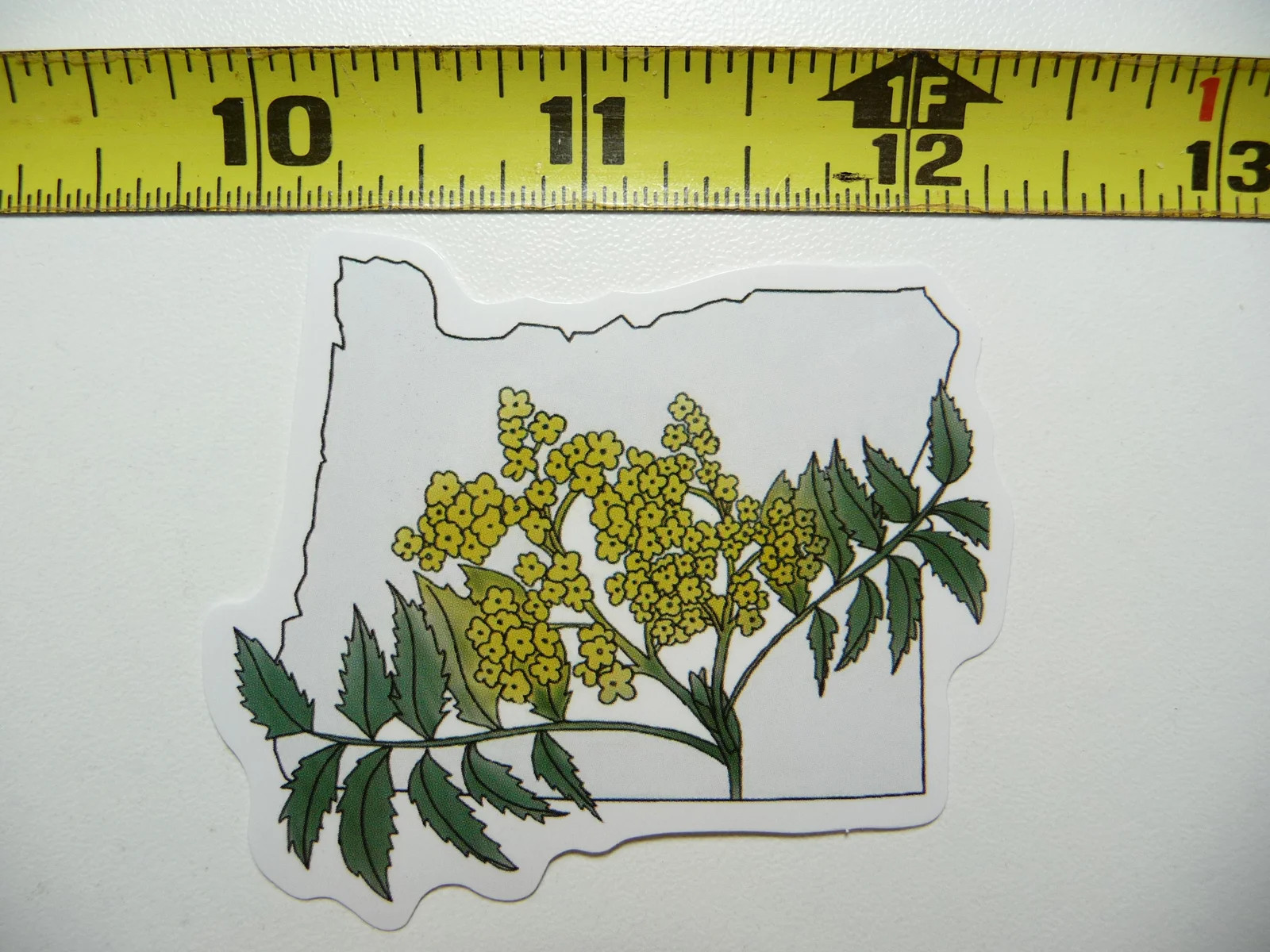 OREGON GRAPE OUTLINE STATE FLOWER SMALL STICKER DECAL PRIDE TRAVEL MEMORIES