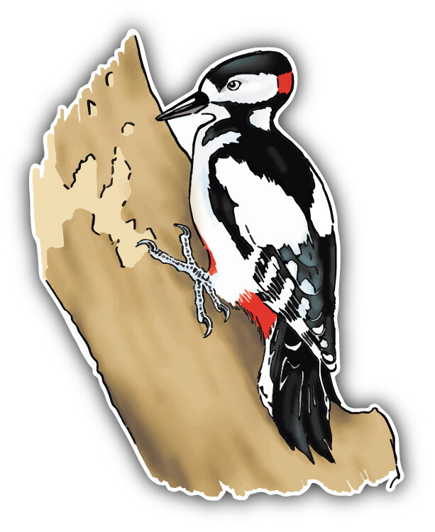 Little Woodpecker Animal Car Bumper Sticker Decal – "SIZES"